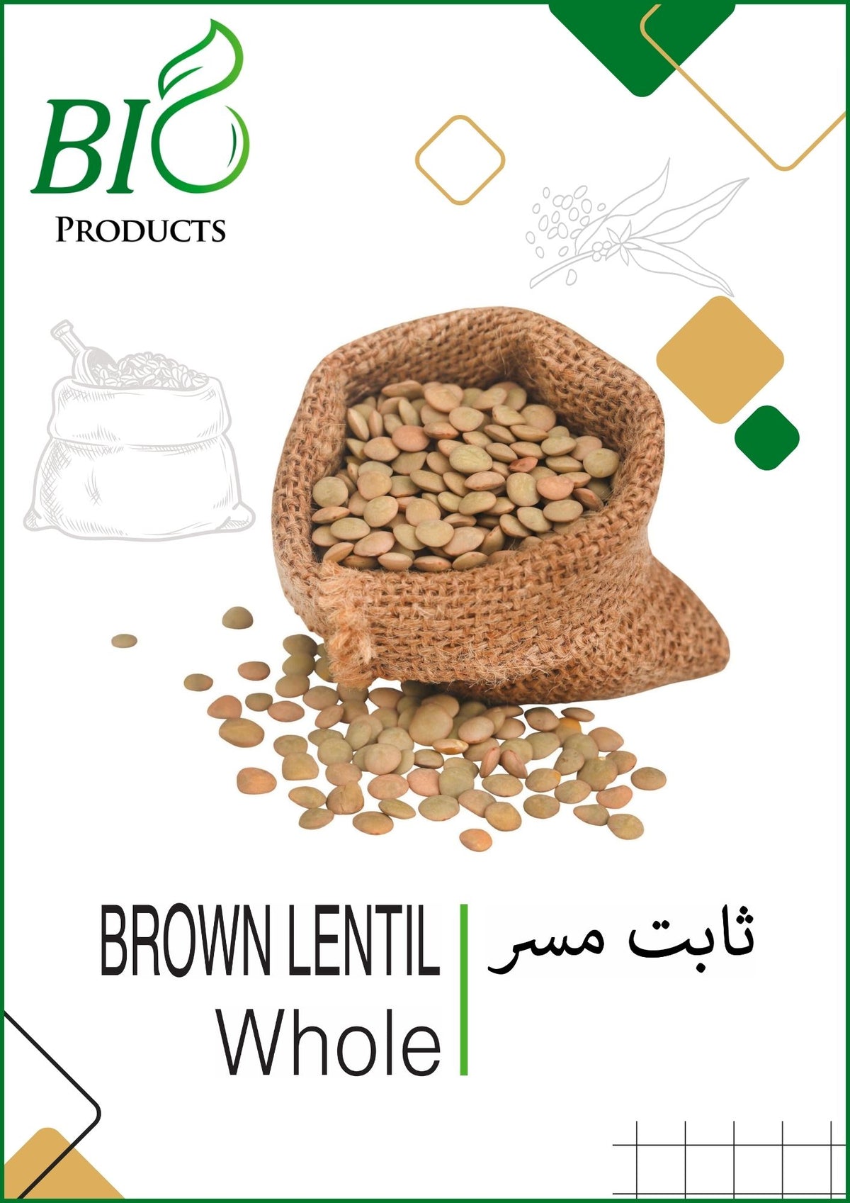 Brown Lentil Whole, Sabut Masoor Dal, Whole Masoor Dal, Organic Brown Lentils, High-Protein Brown Lentils